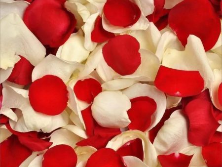 Rose Petals For Sale