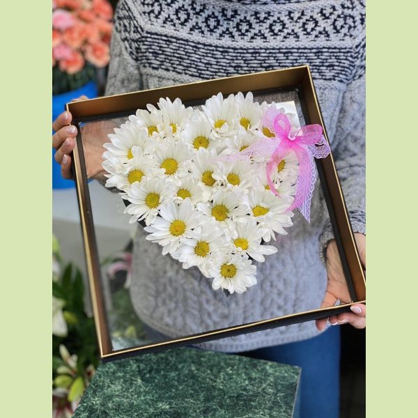 Daisies Love Sale