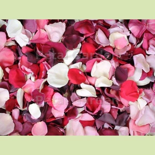 Rose Petals For Sale