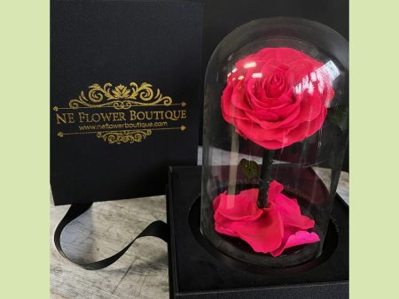 Beauty and the Beast Roses in Glass Dome Hot on Sale