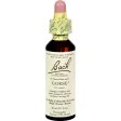 Bach Flower Remedies Essence Gorse - 0.7 Fl Oz Online