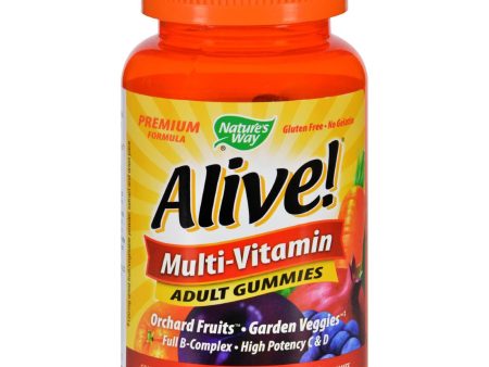 Nature s Way Alive Multi-vitamin Adult Gummies - 90 Gummies For Sale