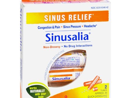 Boiron Sinusalia Pellets - 2 Doses For Discount