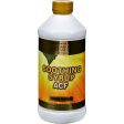 Buried Treasure Cough Complete Acf - 16 Fl Oz For Sale