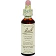 Bach Flower Remedies Essence Aspen - 0.7 Fl Oz Fashion