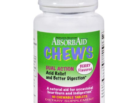 Absorbaid Digestive Chews - Berry Flavor - 90 Tablets Online Hot Sale