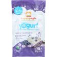 Happyyogis Yogurt Snacks - Organic - Freeze-dried - Greek - Babies And Toddlers - Blueberry And Purple Carrot - 1 Oz - Case Of 8 Fashion