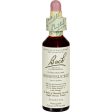 Bach Flower Remedies Essence Honeysuckle - 0.7 Fl Oz For Sale