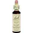 Bach Flower Remedies Essence Holly - 0.7 Fl Oz Online