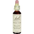 Bach Flower Remedies Essence Cherry Plum - 0.7 Fl Oz on Sale