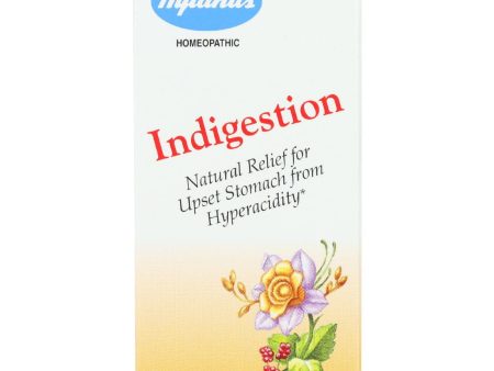 Hylands Homeopathic Indigestion - 100 Tablets on Sale